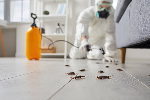 Commercial Kitchen Cockroach Control in Chase City